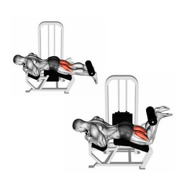 Máquina de extensiones - femoral dual M5